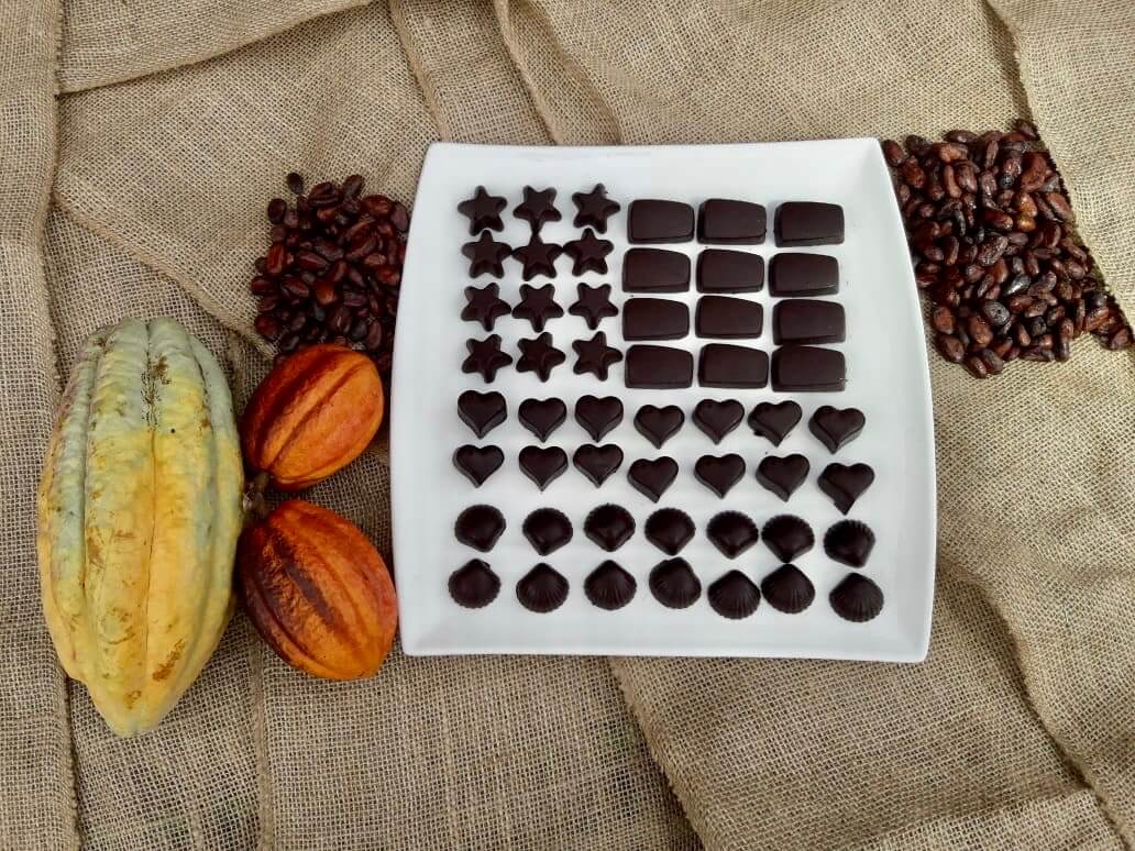 Suggested image: cocoa-pods-01.jpg