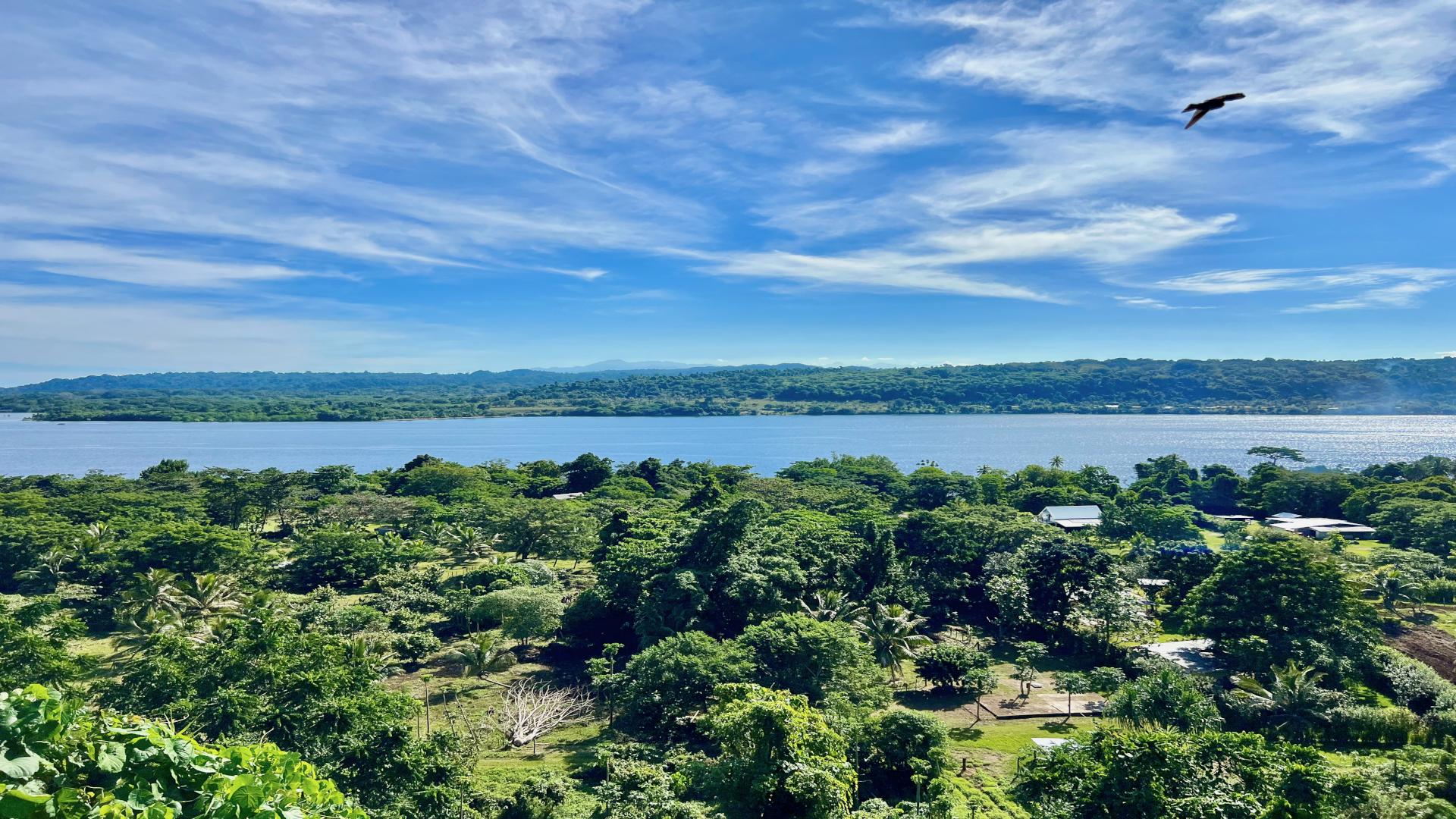 Suggested image: hero-plantation.jpg — aerial or wide view across Freshwater Plantation