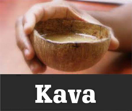 Suggested image: kava-plantation-01.jpg